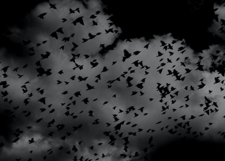 Что делать, если вы стали жертвой кошмаров? | Твой Коуч.ру