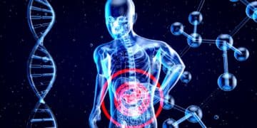 Что вредит нашей печени? 6 негативных привычек, которые наносят вред